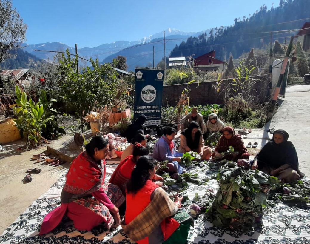 Women farmers of Bhaderwah collectively sorting and processing fresh produce